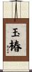 玉椿 Scroll