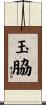 玉脇 Scroll