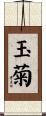 玉菊 Scroll