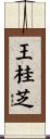 王桂芝 Scroll
