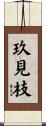 玖見枝 Scroll