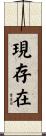 現存在 Scroll