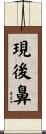 現後鼻 Scroll