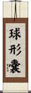 球形嚢 Scroll