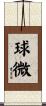 球微 Scroll