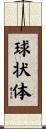 球状体 Scroll