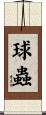 球蟲 Scroll