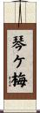 琴ケ梅 Scroll
