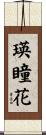 瑛瞳花 Scroll