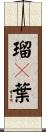 瑠々葉 Scroll