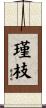 瑾枝 Scroll