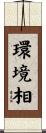 環境相 Scroll