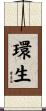 環生 Scroll