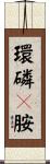 環磷酰胺 Scroll