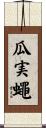 瓜実蠅 Scroll