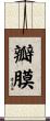 瓣膜 Scroll