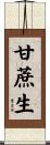 甘蔗生 Scroll
