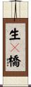 生々橋 Scroll