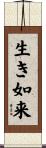 生き如来 Scroll