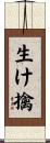 生け擒 Scroll