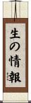 生の情報 Scroll