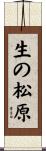 生の松原 Scroll