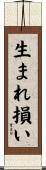 生まれ損い Scroll