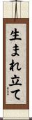 生まれ立て Scroll