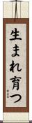 生まれ育つ Scroll