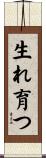 生れ育つ Scroll