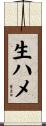 生ハメ Scroll