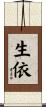 生依 Scroll