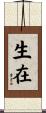 生在 Scroll