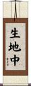 生地中 Scroll