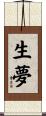生夢 Scroll