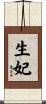 生妃 Scroll