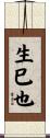 生巳也 Scroll