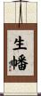 生幡 Scroll