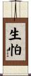 生怕 Scroll