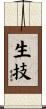 生技 Scroll