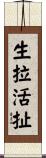 生拉活扯 Scroll