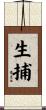 生捕 Scroll