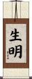 生明 Scroll