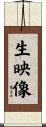 生映像 Scroll