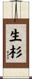 生杉 Scroll