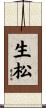 生松 Scroll