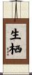 生栖 Scroll
