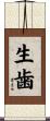生歯 Scroll