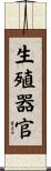 生殖器官 Scroll