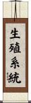 生殖系統 Scroll